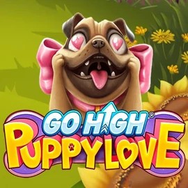 Official Slots logo: Go High Puppy Love by RubyPlay at Huikee Casino